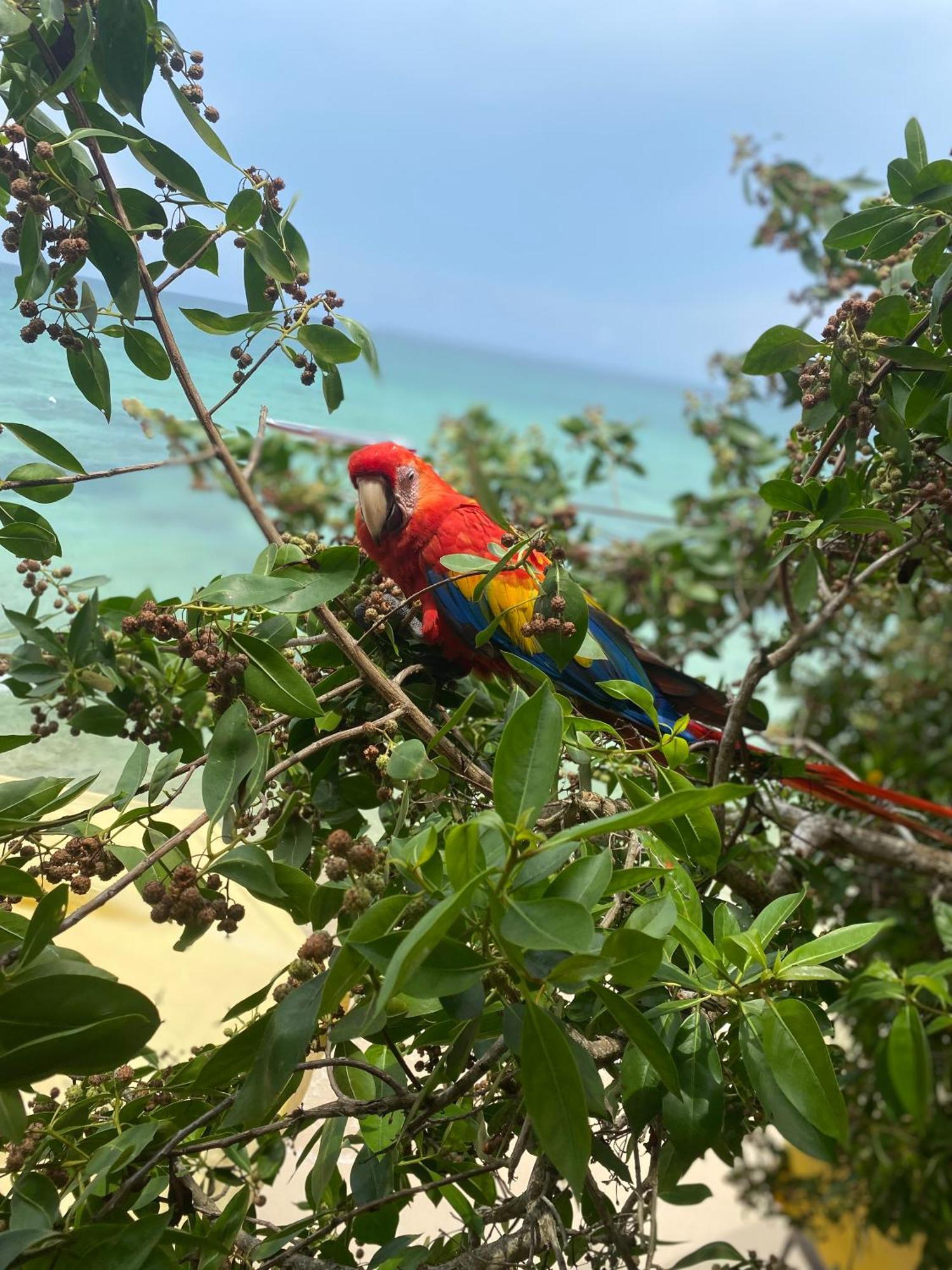 Posada Shekinah Baru Playa Blanca Dış mekan fotoğraf